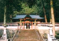 宍粟市・彼岸花(曼珠沙華) 南天の木に囲まれた手水鉢