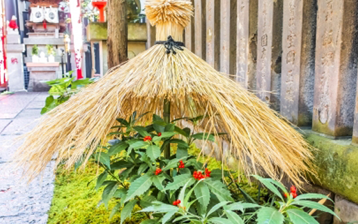 縁起木・マンリョウの植栽