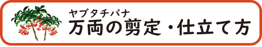 万両(マンリョウ)の剪定・手入れ・仕立て方のアドバイス