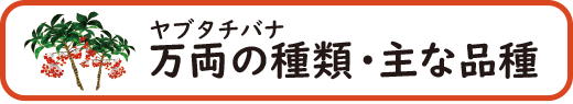 万両(マンリョウ)の種類・主な品種