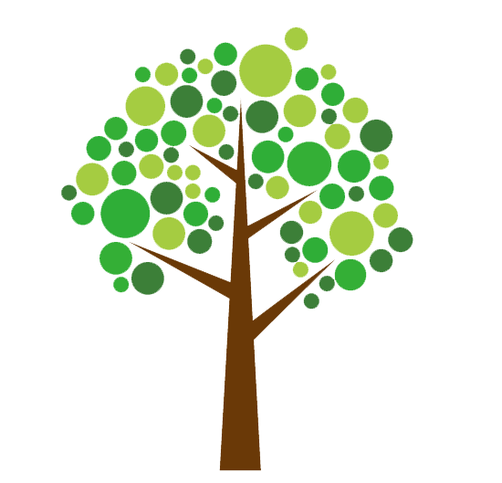 常緑樹(じょうりょくじゅ)