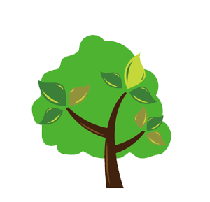 広葉樹(こうようじゅ)