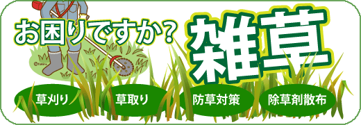 雑草に困っている・雑草の対処・草刈り・草取り・防草対策・芝刈り・剪定・除草剤散布