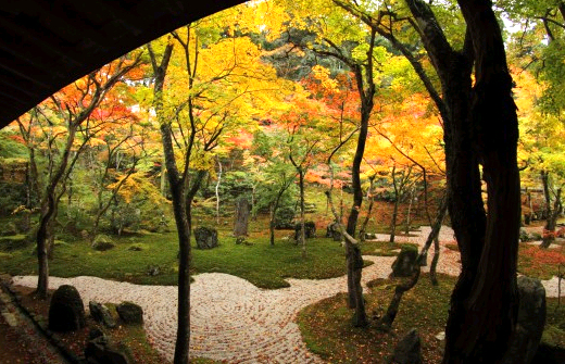 中庭の造園設計・植栽管理