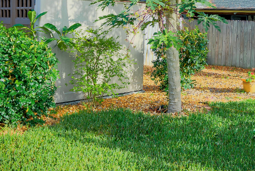 空き家・空き地の手入れ・庭管理(山崎造園・兵庫県宍粟市)