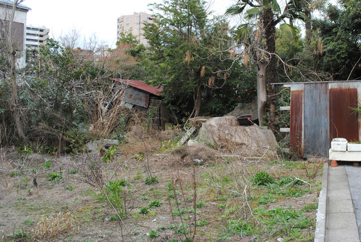 荒れた土地・使っていない空き地