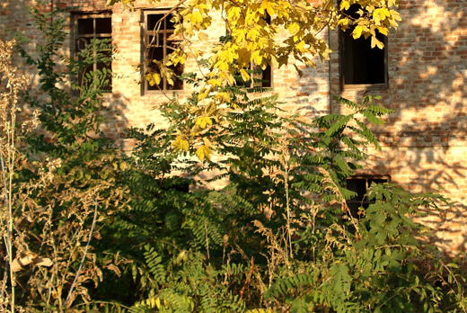 空き家・空き地の庭管理
