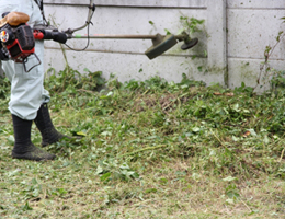 庭の手入れ(山崎造園・宍粟市)