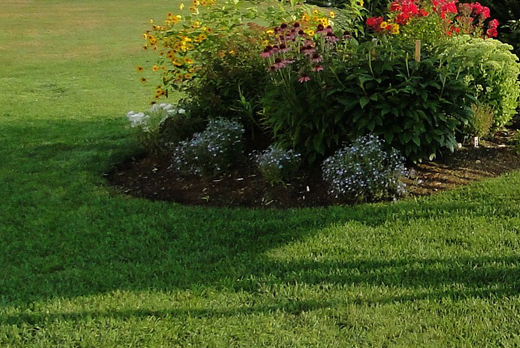 芝の手入れ・芝生のエッジング(山崎造園・宍粟市)