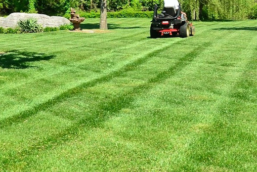 芝生の手入れ・年間管理(山崎造園・兵庫県宍粟市)