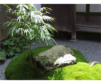 お庭づくりのアドバイス「中庭・坪庭」