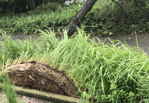 強風・豪雨・台風事後対策
