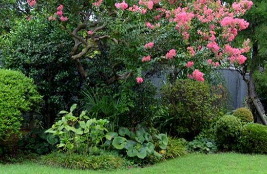 サルスベリがあるお庭・剪定・植栽・手入れ(兵庫県宍粟市・山崎造園)