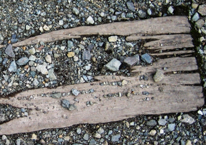 枕木のシロアリ被害