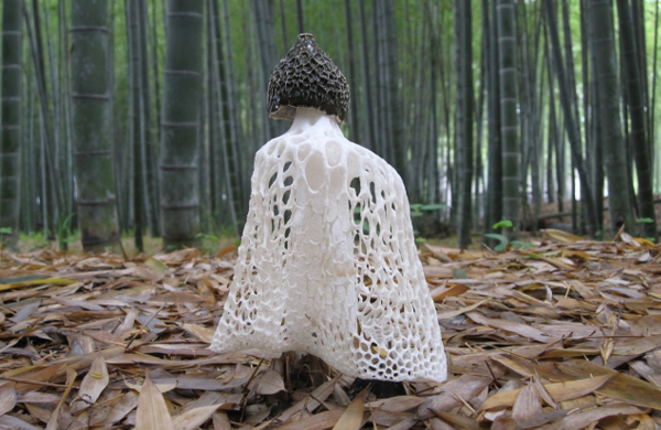 竹林に生えるキヌガサタケ(衣笠茸)