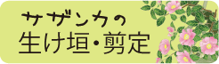 サザンカの生垣・剪定へリンク