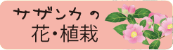 サザンカの花と植栽へリンク