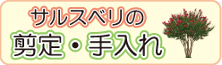 サザンカの生垣・剪定へリンク