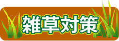 雑草対策(山崎造園)