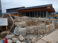 自然な印象の人工芝