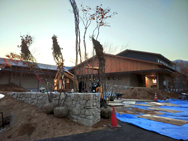 リビング前のお庭